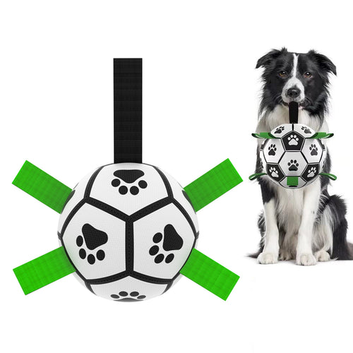 Ballon de foot pour chien – jouet interactif Border Collie – vue 2