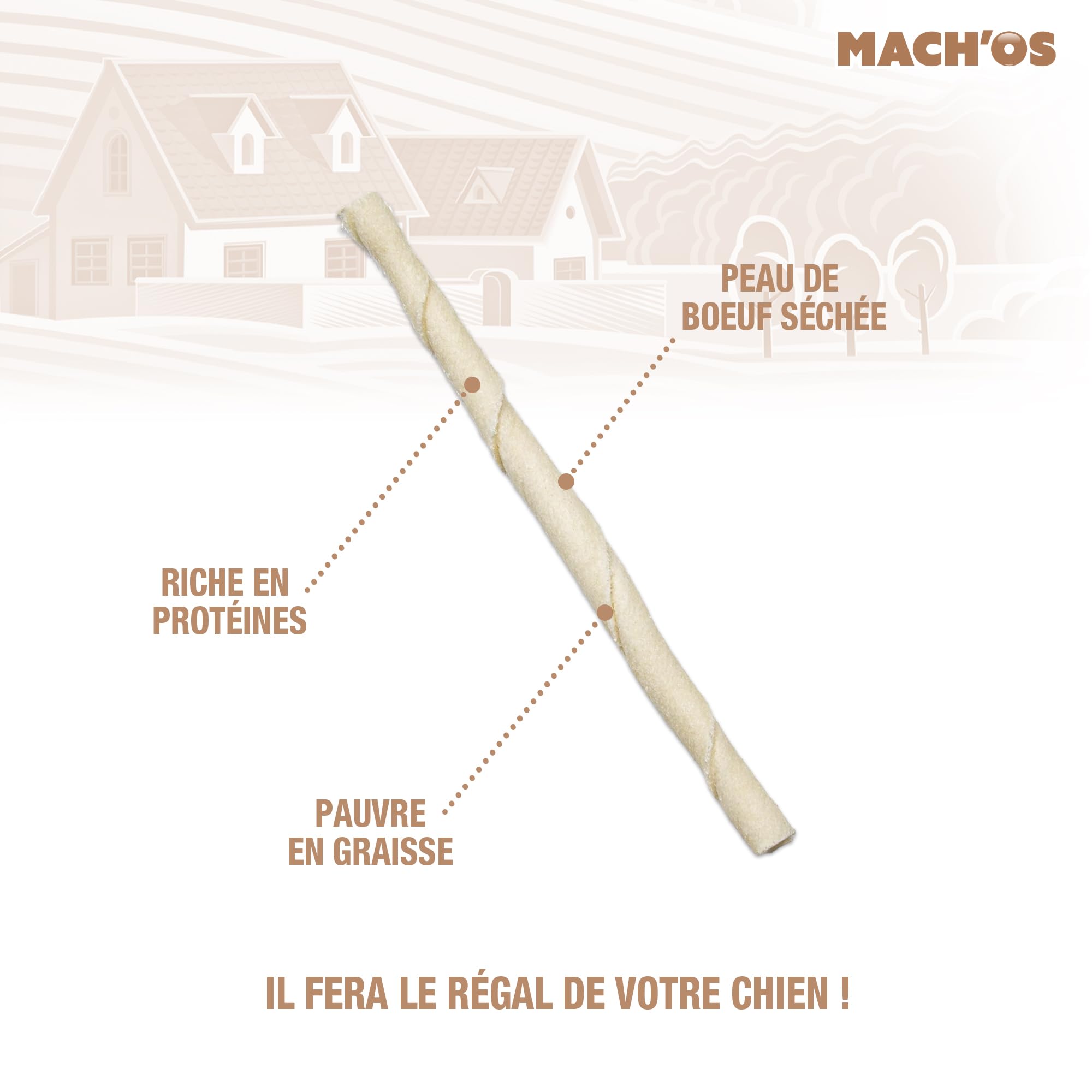 RIGA - Mach'os - Bâtonnet Torsadé Blanc - Friandise Chien - Peau De Buffle - Riche en Protéines - Hygiène Buccale - Mastication Et Récompense - pour Grand Chien - x 10