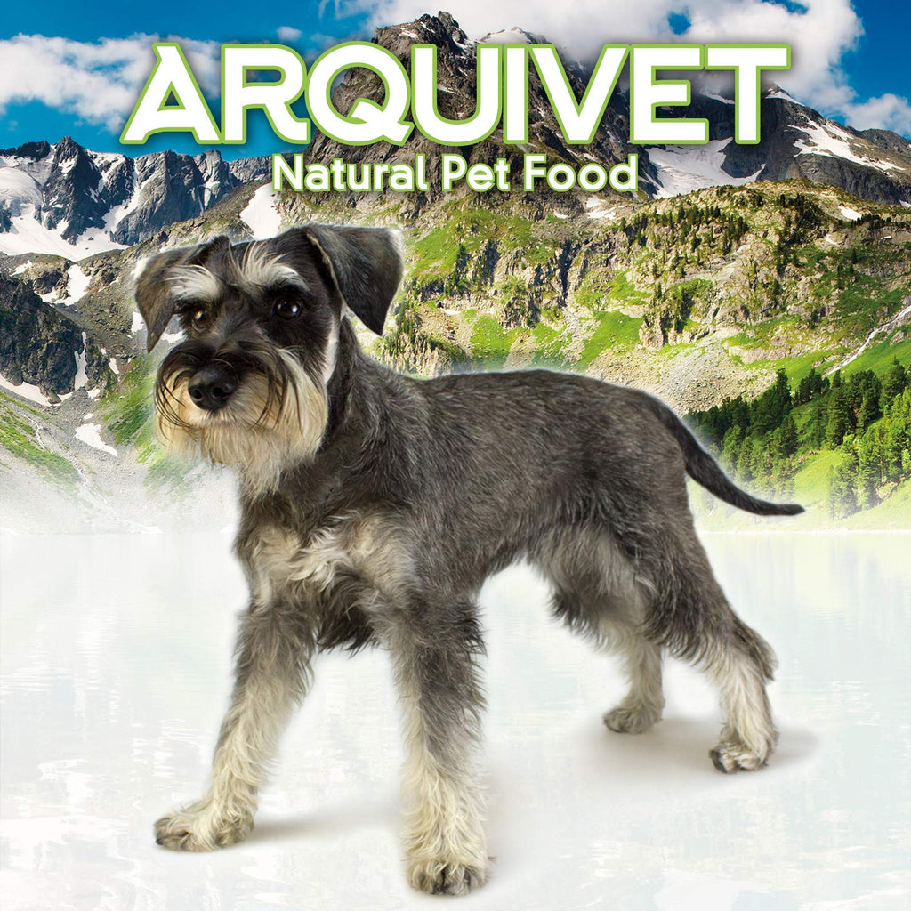 ARQUIVET Arquibone Rind 12,5 cm – 95 g – Großer Hundeknochen – Natürlicher Hundesnack – Kauknochen – Ergänzungsfuttermittel für Hunde