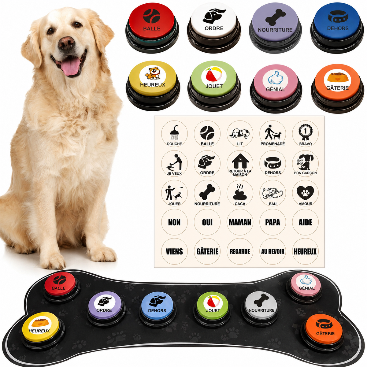 Boutons de communication pour chien – apprentissage ludique