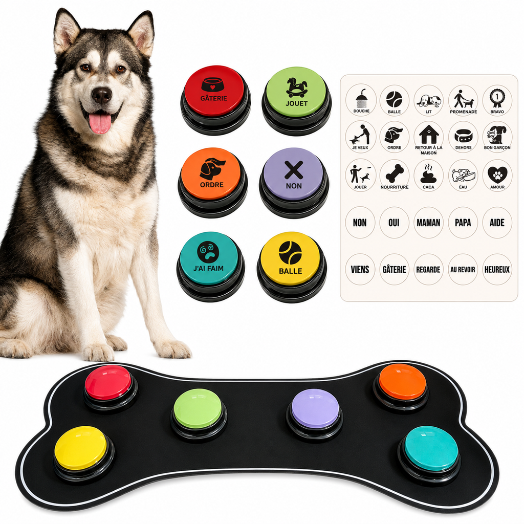 Boutons de communication pour chien – apprentissage ludique