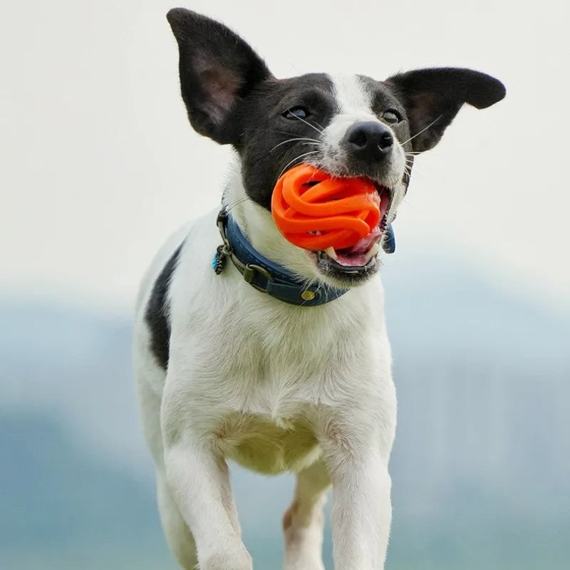 Balles à mâcher résistantes pour animaux