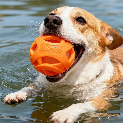Balles à mâcher élastiques résistantes pour chien