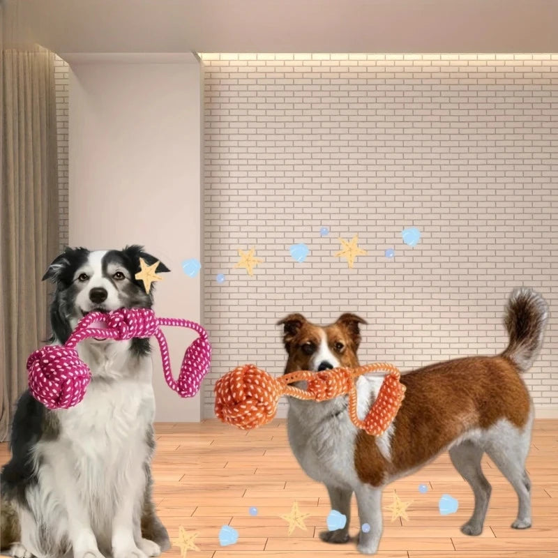 Jouets en corde à mâcher et tirer pour chien