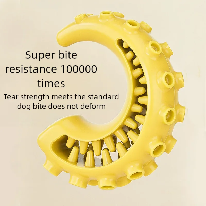 Jouets TPR anti-morsure pour petits et moyens chiens