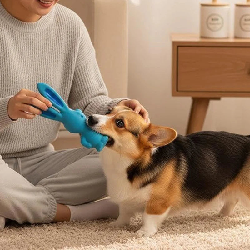 Haustierbedarf Latex-Haustierspielzeug-Kollektion Zähneknirschen Reinigung Biss Interaktives Hundespielzeug Frecher Hase Hund Latex-Kauspielzeug
