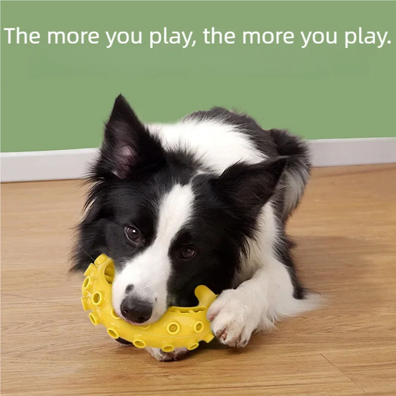 Jouets TPR anti-morsure pour petits et moyens chiens