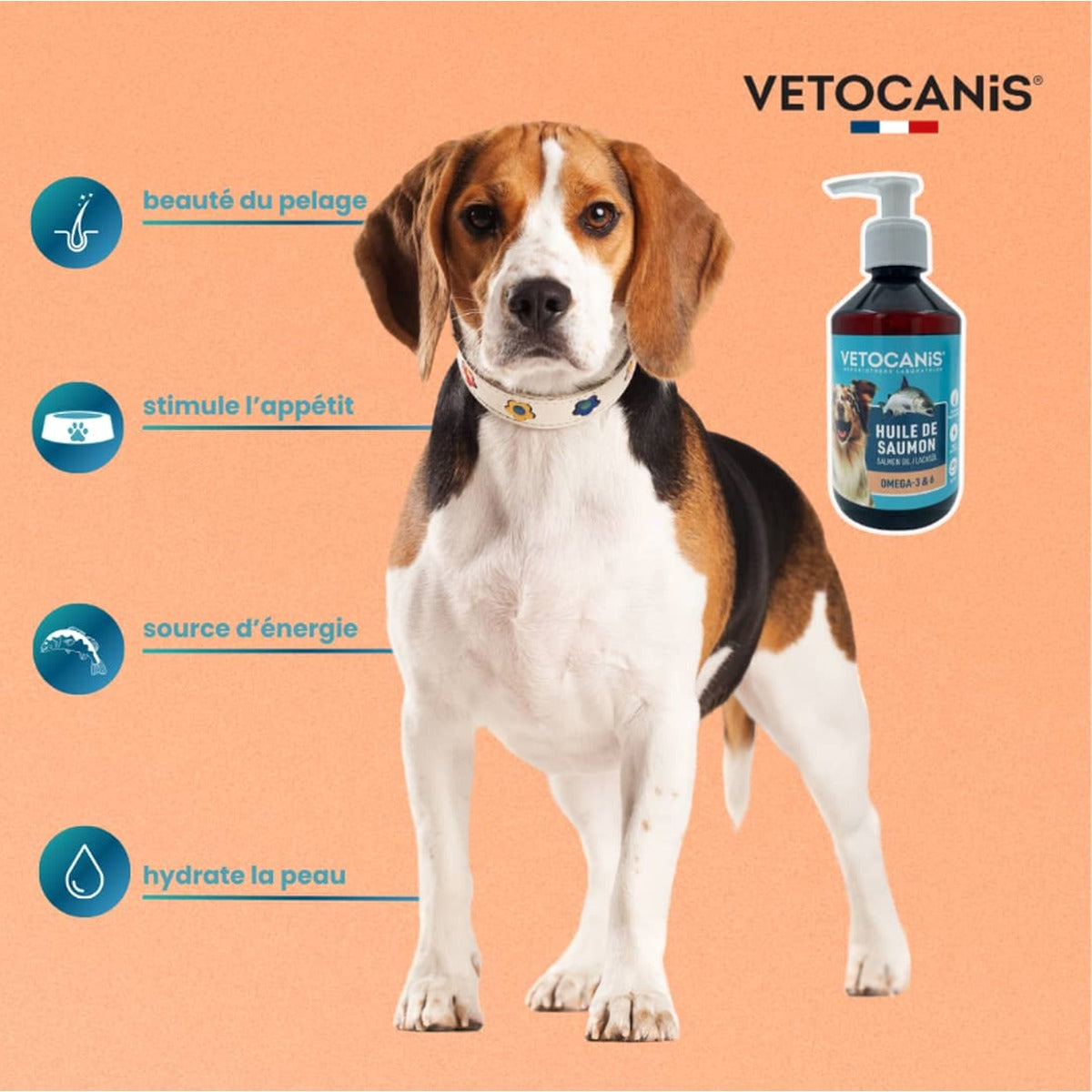 Lachsöl für Hunde und Katzen – Vetocanis